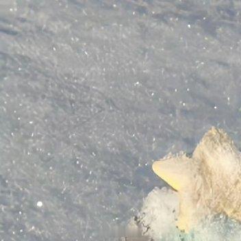 每日一善✨️阳光信用 ✨️每日一善 生活，需要一点阳光，生命，需要一些勇敢，纠结