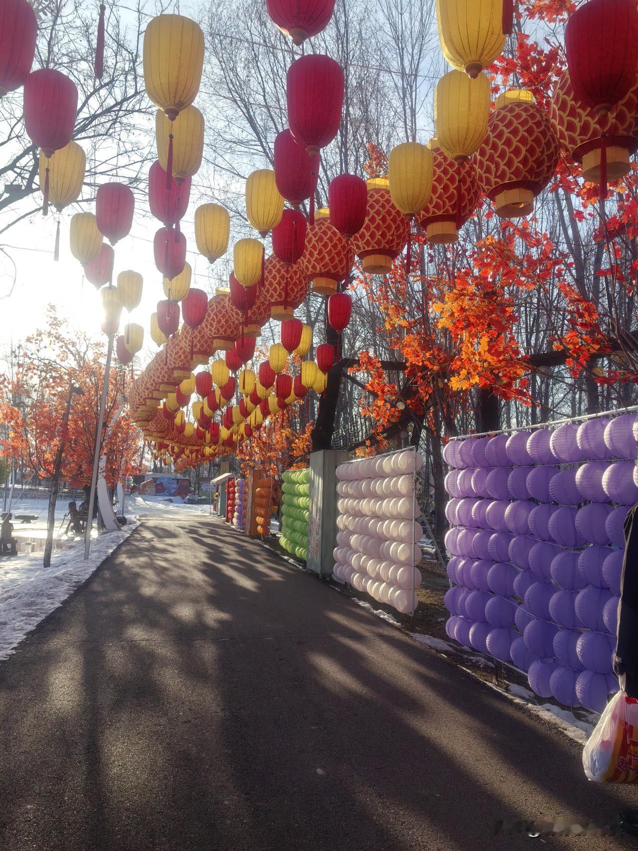 什么是教育？言传身教。
教育就像养花一样，一边养一边看，一边静待花开。我把这句话