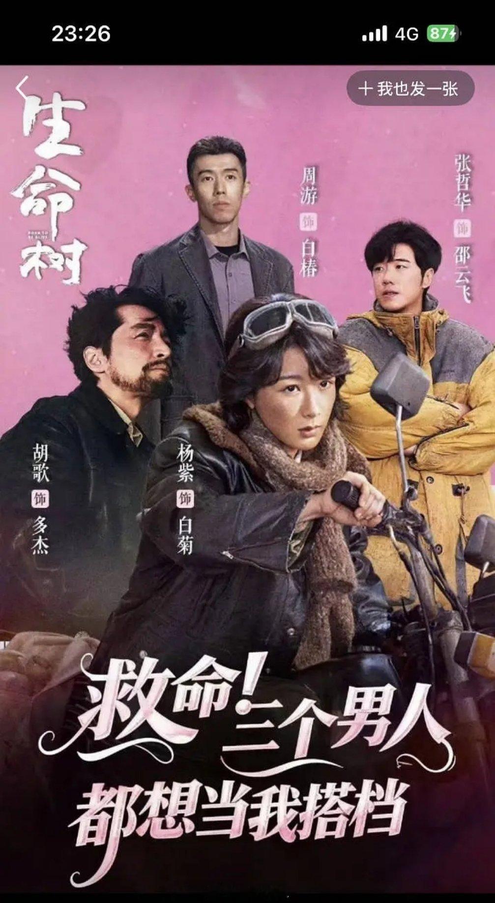 杨紫 你这树还种不种了