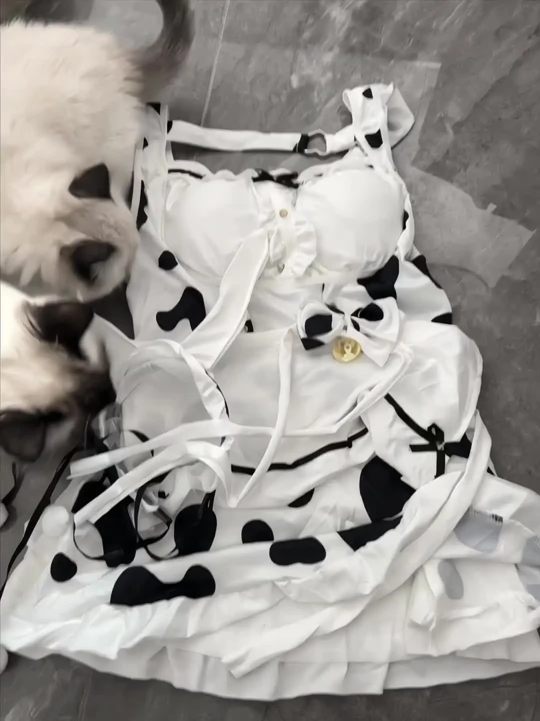 女仆是无敌的