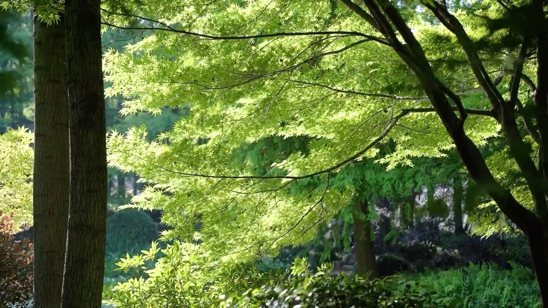 长桥溪20分钟效应！饮啡旅行,三餐四季  ​​​