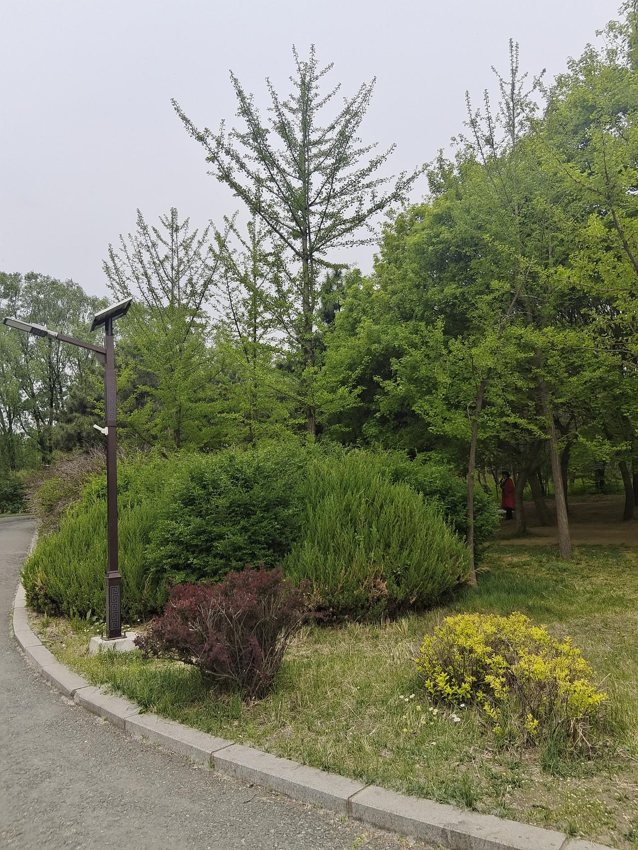 晒晒你旅行中拍摄的美景照片