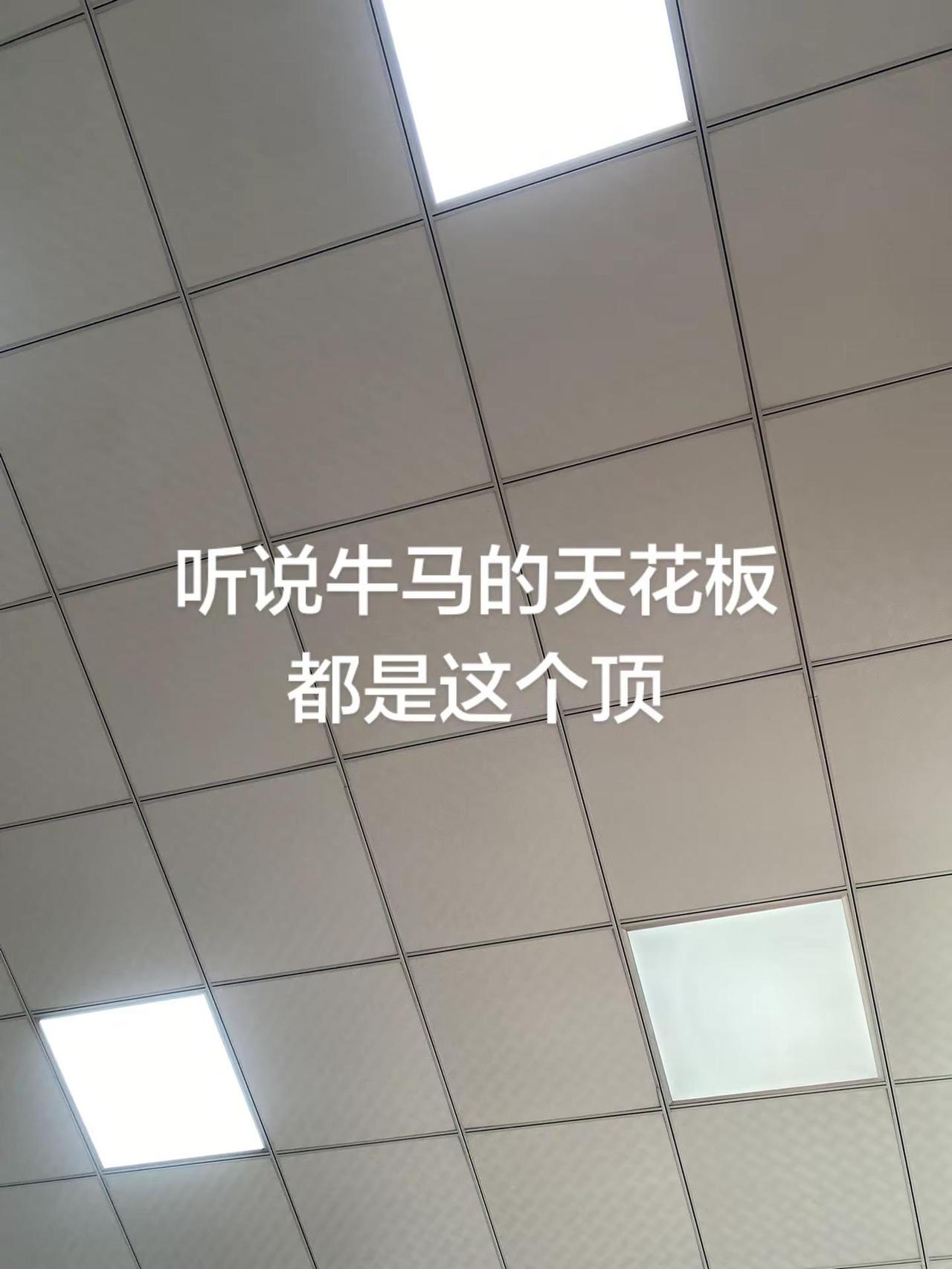 天花板。牛马的天花板都是这个顶？牛马