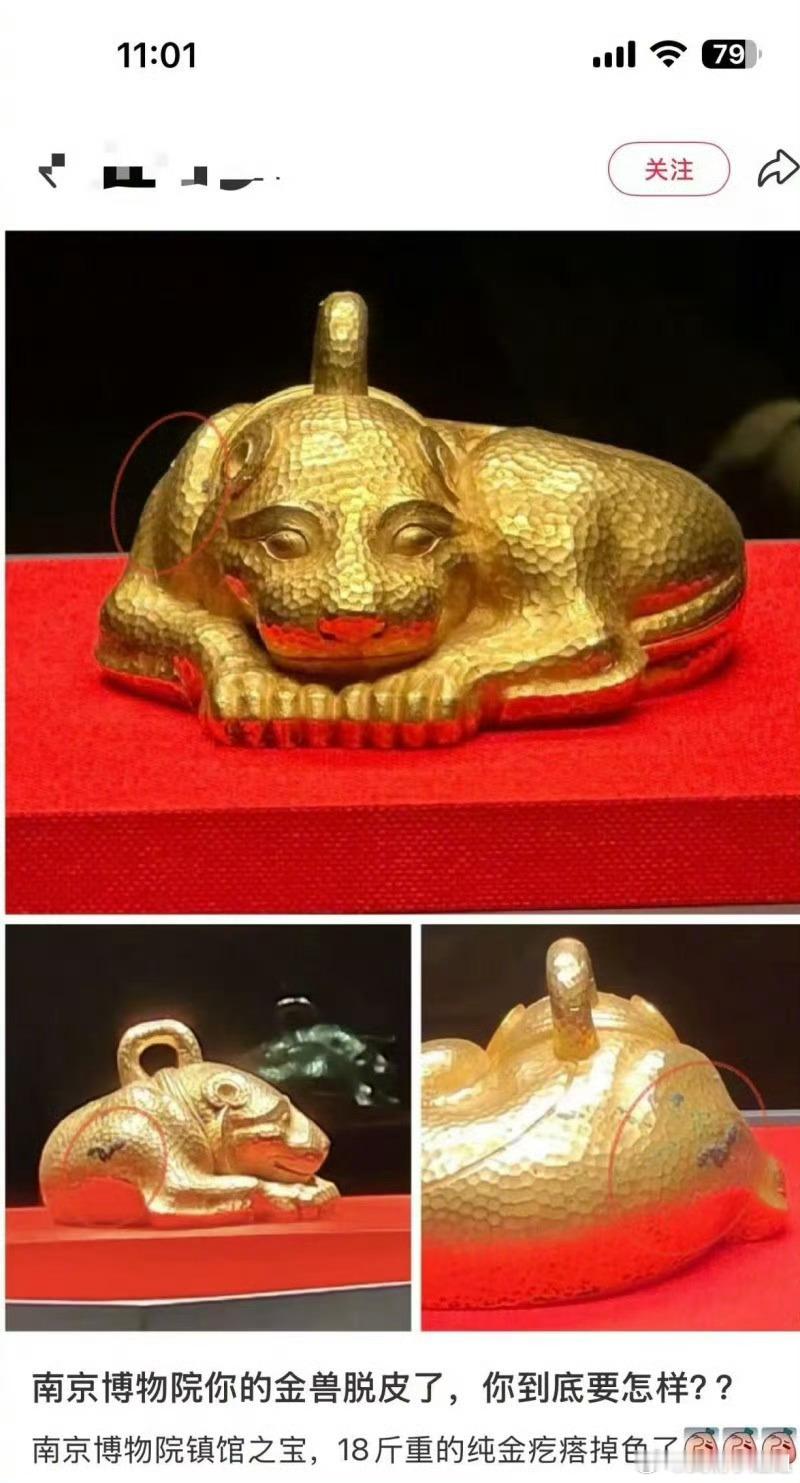 南博镇馆之宝金兽被指脱皮掉色不是说是纯金的吗？纯金的能掉色到这种程度吗氧化我知道