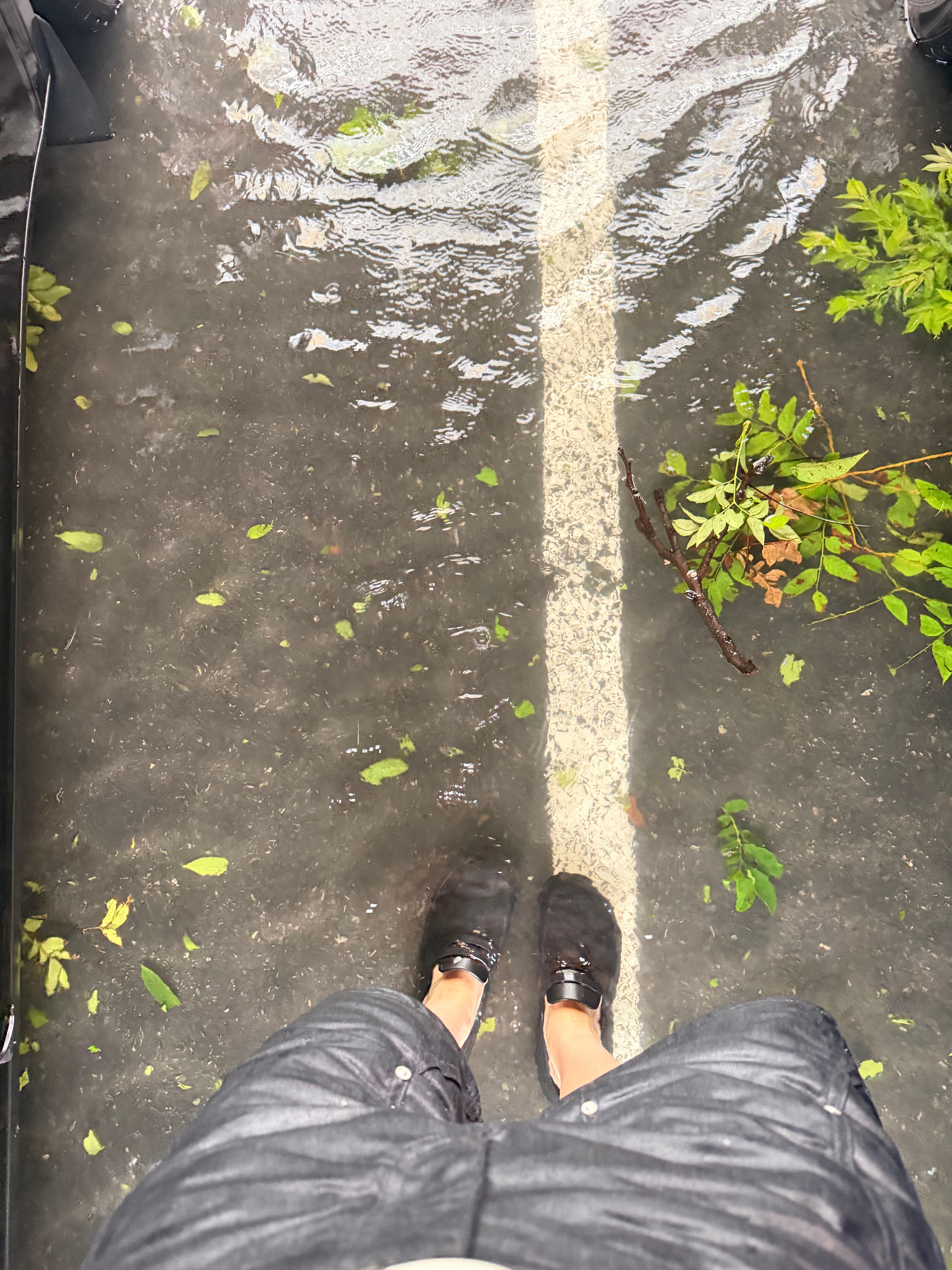 早知道不来了（听我p1苦笑哈哈哈 