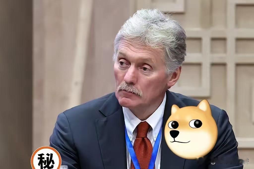 俄罗斯总统新闻秘书佩斯科夫传来新消息了！
当地时间12月5日，俄罗斯总统新闻秘书