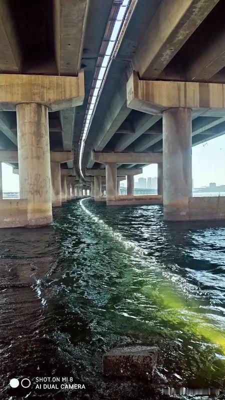 看到“桥下有水水追水”这个上联，挺有意思的，描绘出桥下水流追逐的动态画面。我觉得