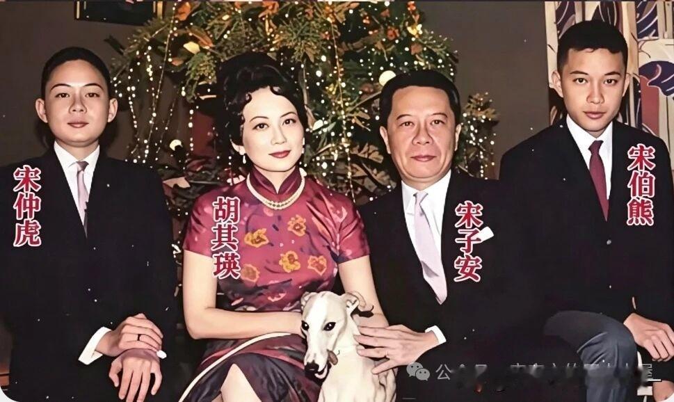 你们只知道我那三个姐姐，两个哥哥，我才是宋家最受宠的那个