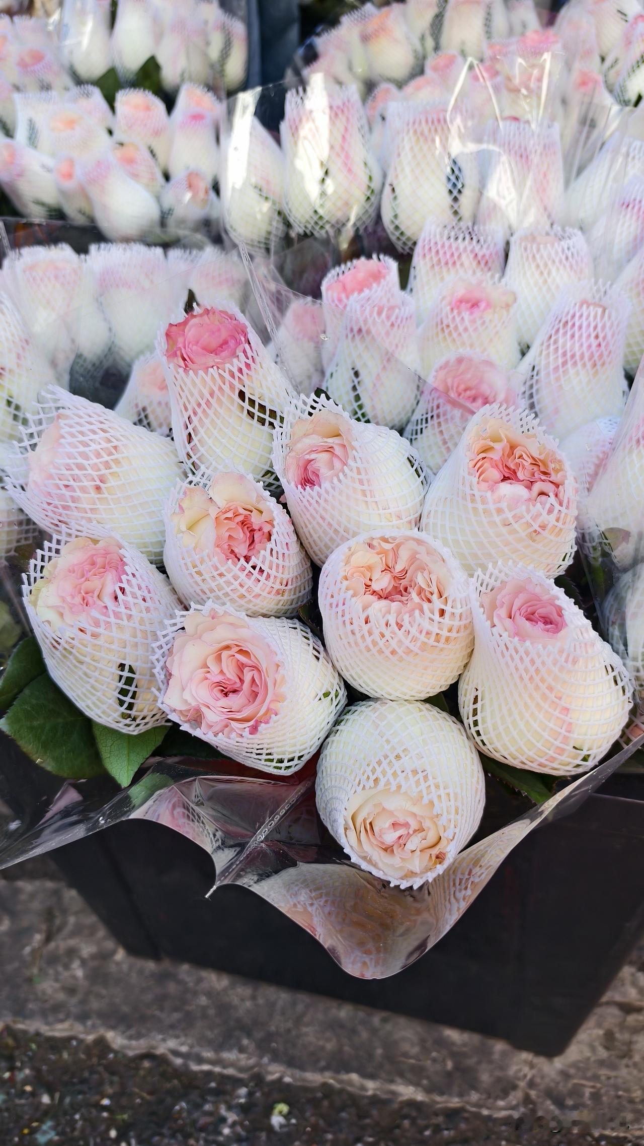 下午逛了斗南花市，整个人都掉进了鲜花堆里！🌸 红的玫瑰、黄的向日葵、紫的洋桔梗