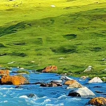 每日一善✨️阳光信用 ✨️每日一善 阳光，是前行的火，点亮我们前行的灯；阳光，是