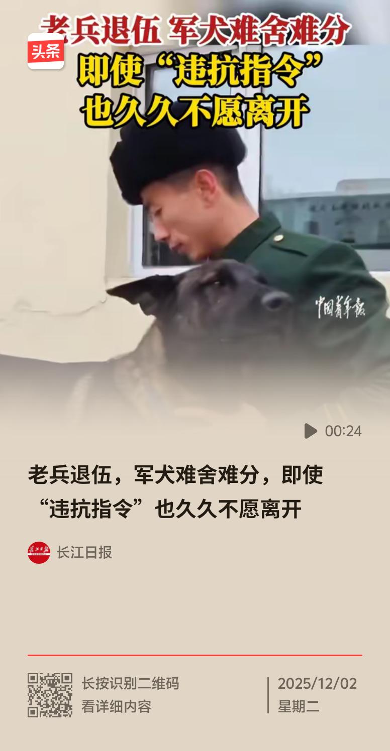 看到老兵退伍时和军犬难舍难分的完整榜单相关画面，真的太戳人了。那些军犬抱着训导员