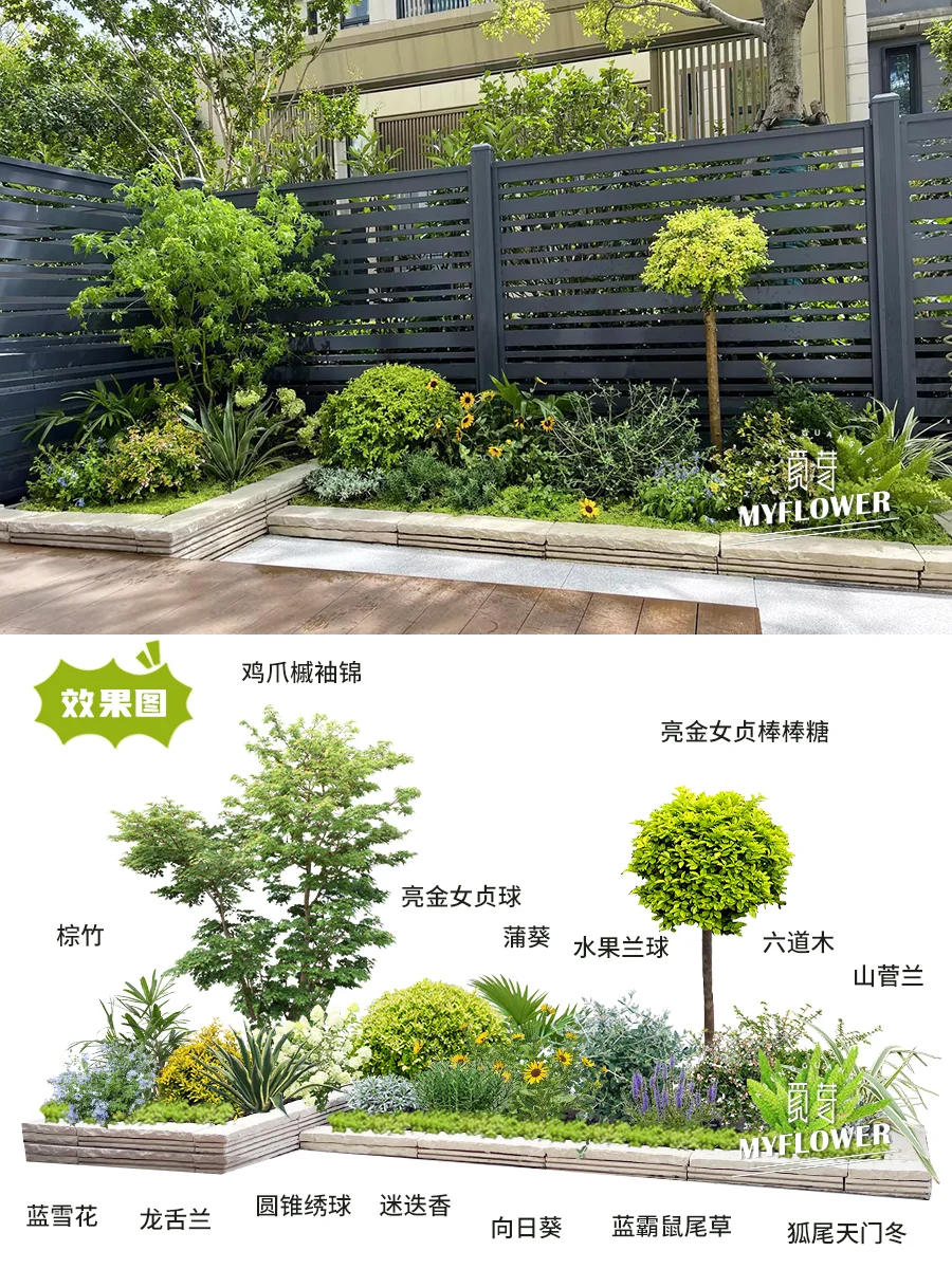 小白来抄作业啦！花园低维护庭院种植！