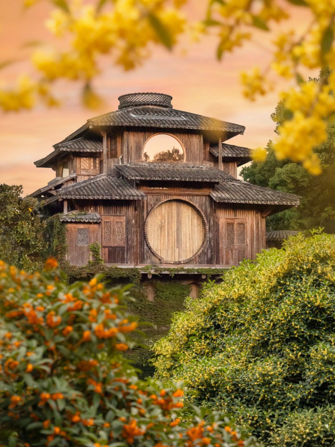 杭州桂花林扔进去就出不来 ​​​