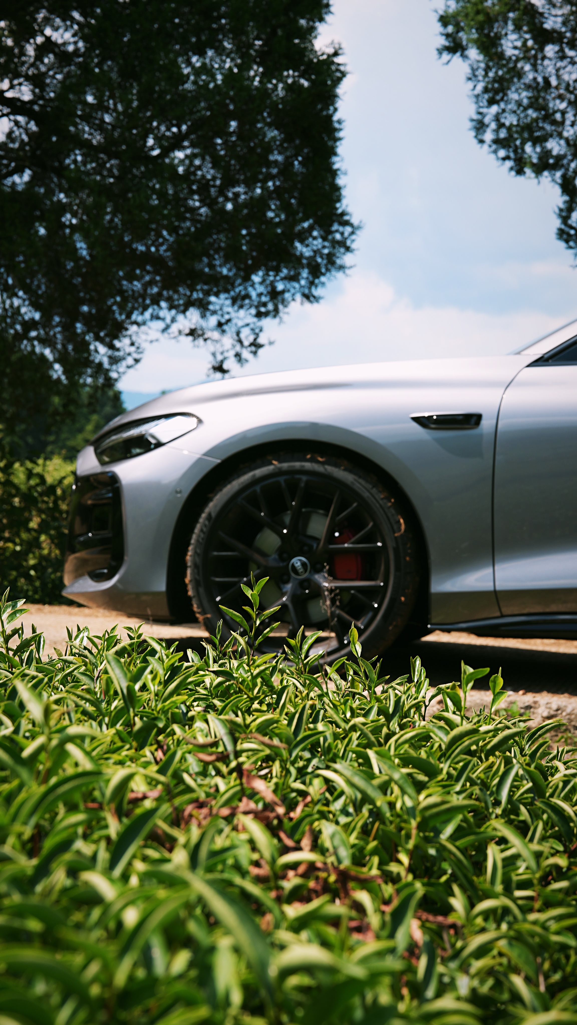 A5L Sportback依然保留了A5家族的精髓，耐看，高颜值和运动性能，但你
