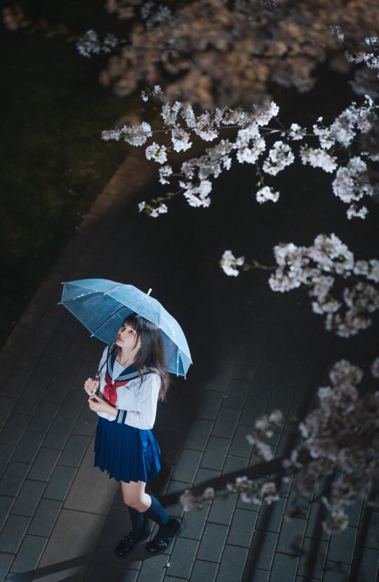 樱花树下