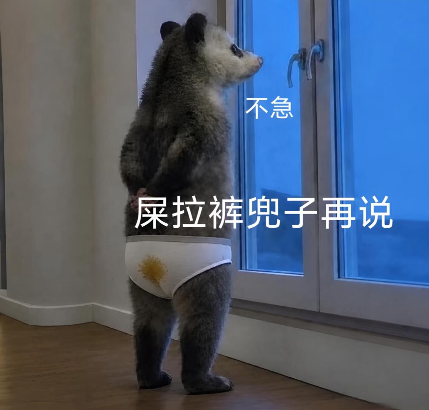 这个笑亖我了 
