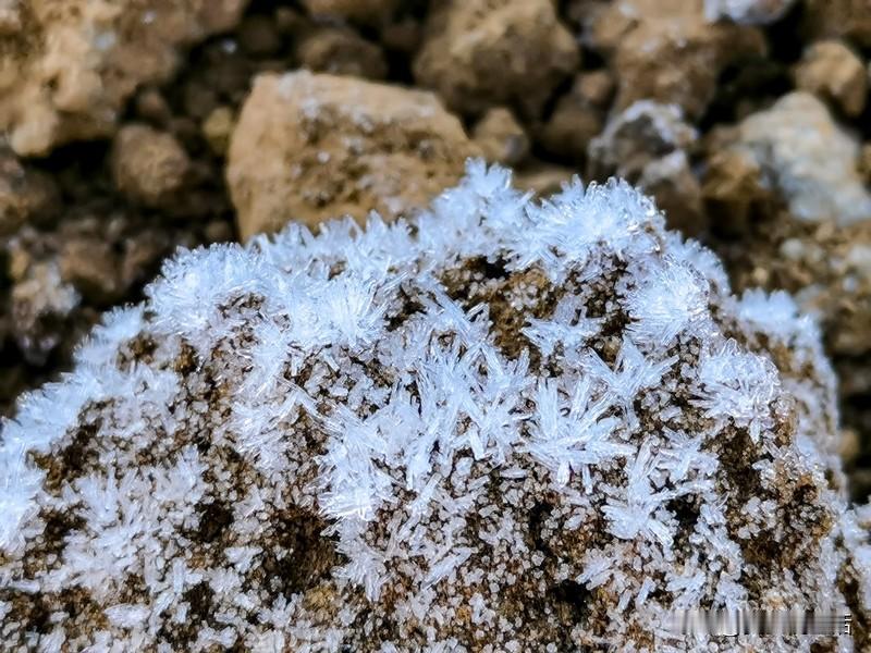 午后蜷在飘窗旁，盖着羊绒毯读一本旧书，阳光透过纱帘洒在书页上，连空气都变得慵懒。