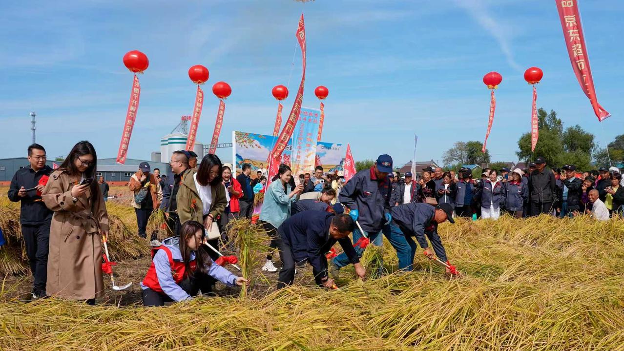 买五常大米，你是不是也踩过坑？花着高价买回家的，却是各种“调和米”、“勾兑米”，