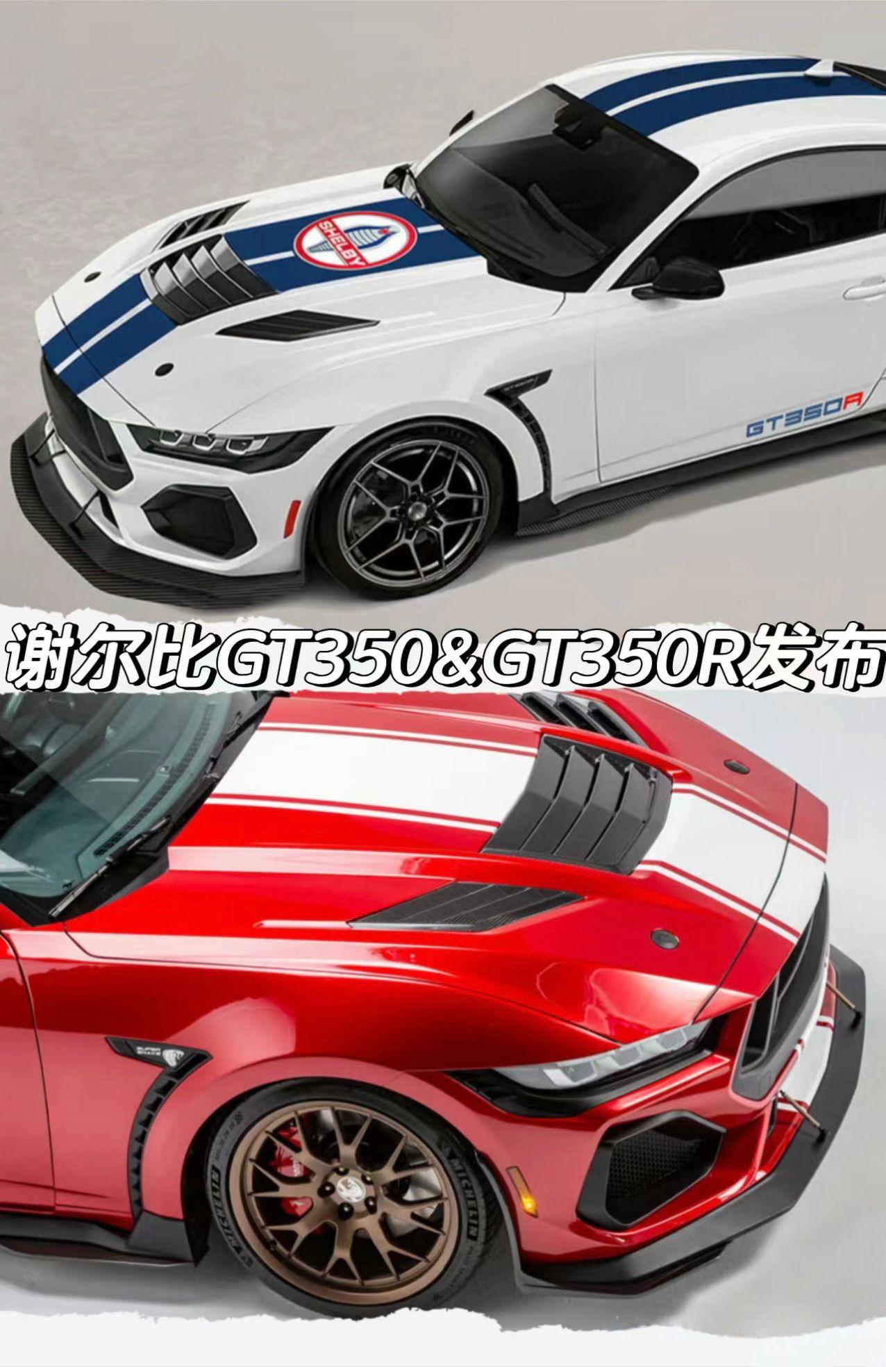 谢尔比GT350&GT350R车型发布
「动力」
*GT350 限量526台
-