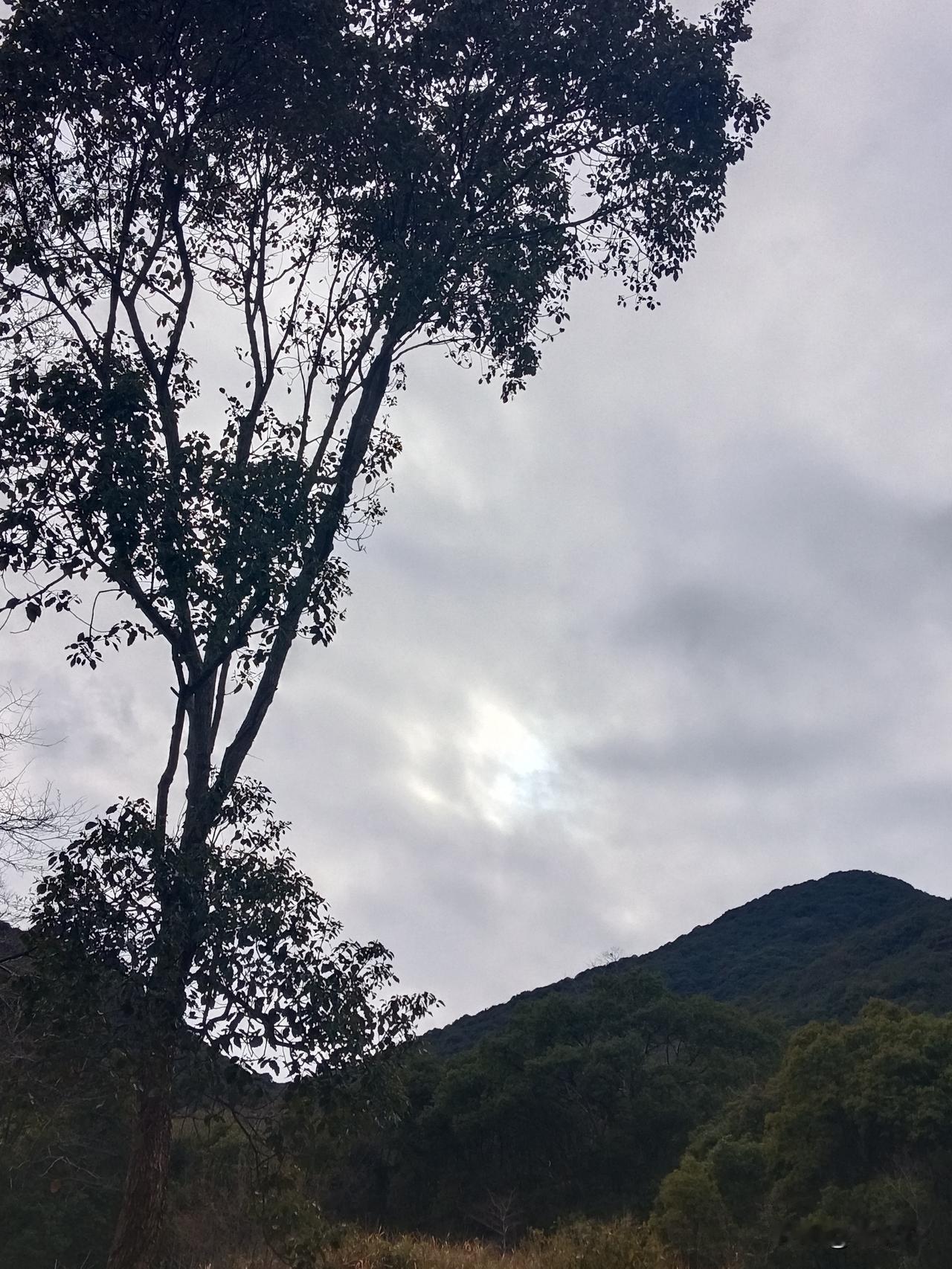 公元前647年，连年受灾的晋国发生饥荒，向秦国借粮。秦国的大臣就分成两派，五羊皮