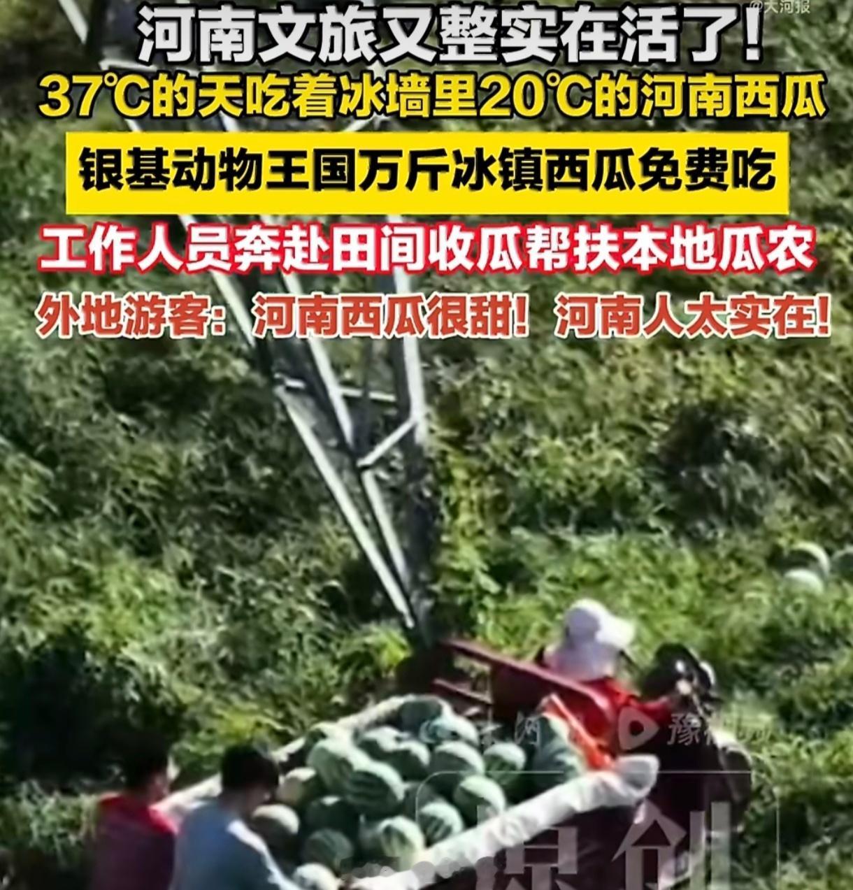 这才是企业有的担当！河南一景区以双倍价格集中收购20万斤滞销西瓜值得赞扬！景区买