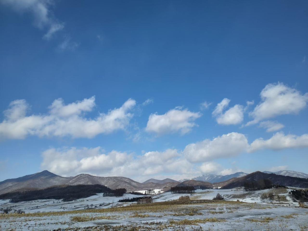 与痛风斗争的历程162
 
   早上起床，浑身关节状态都很正常，没有任何不适与