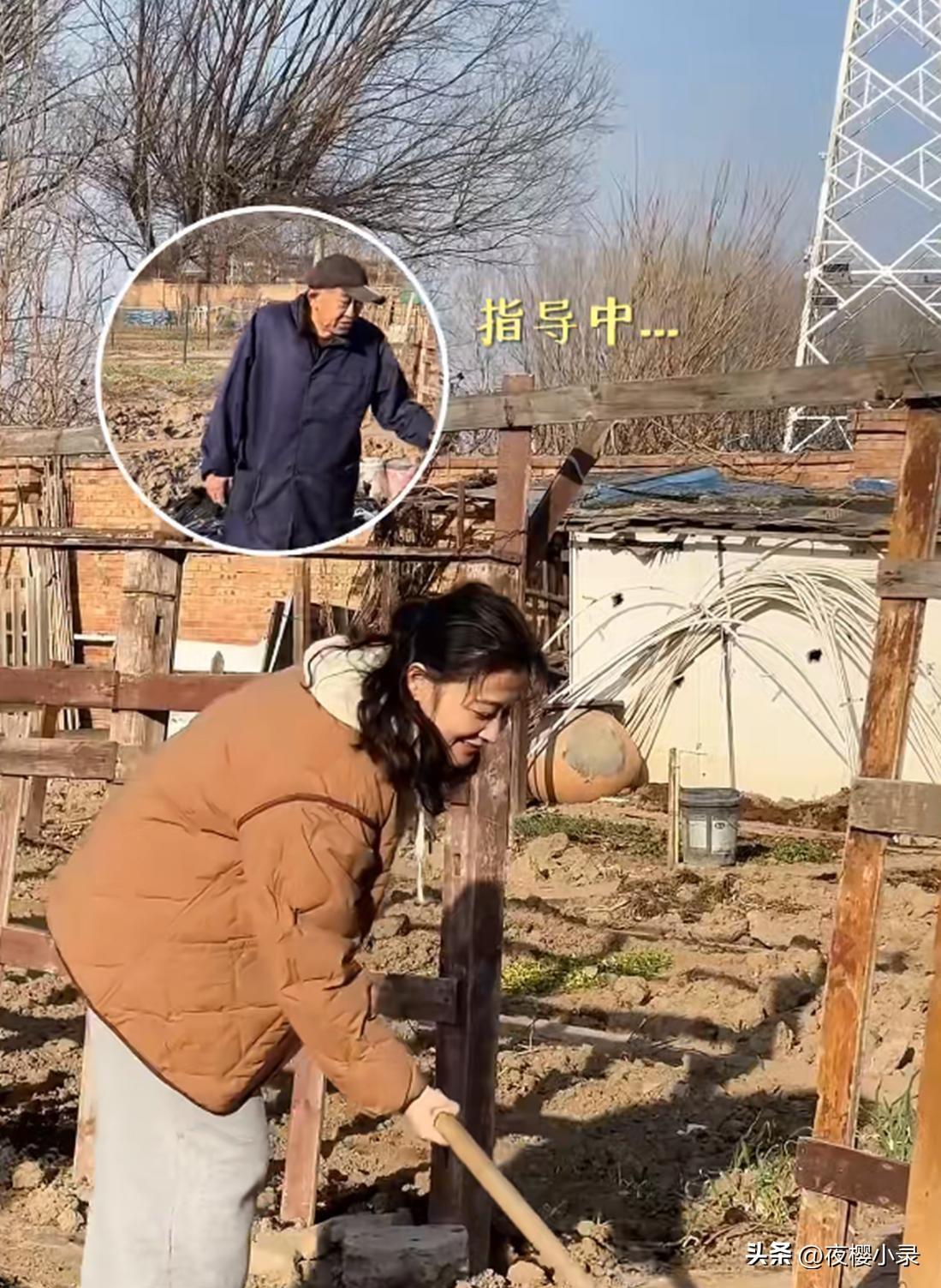 梅婷一家在京郊别墅旁开垦菜园，陪伴七旬公公翻地栽种，指缝沾满泥土，两人融洽如父女