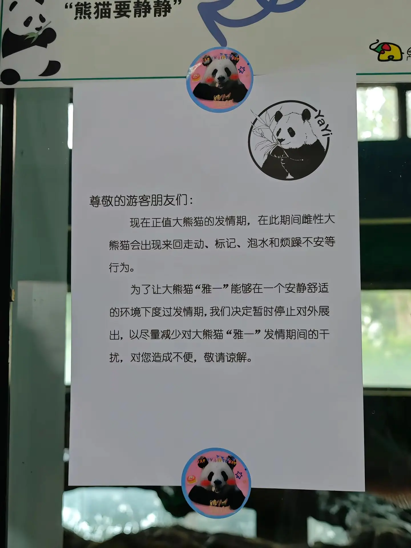 温馨提示:雅一发情了，没有展出。星一有展出的。（请不要拍玻璃、大声喧哗...