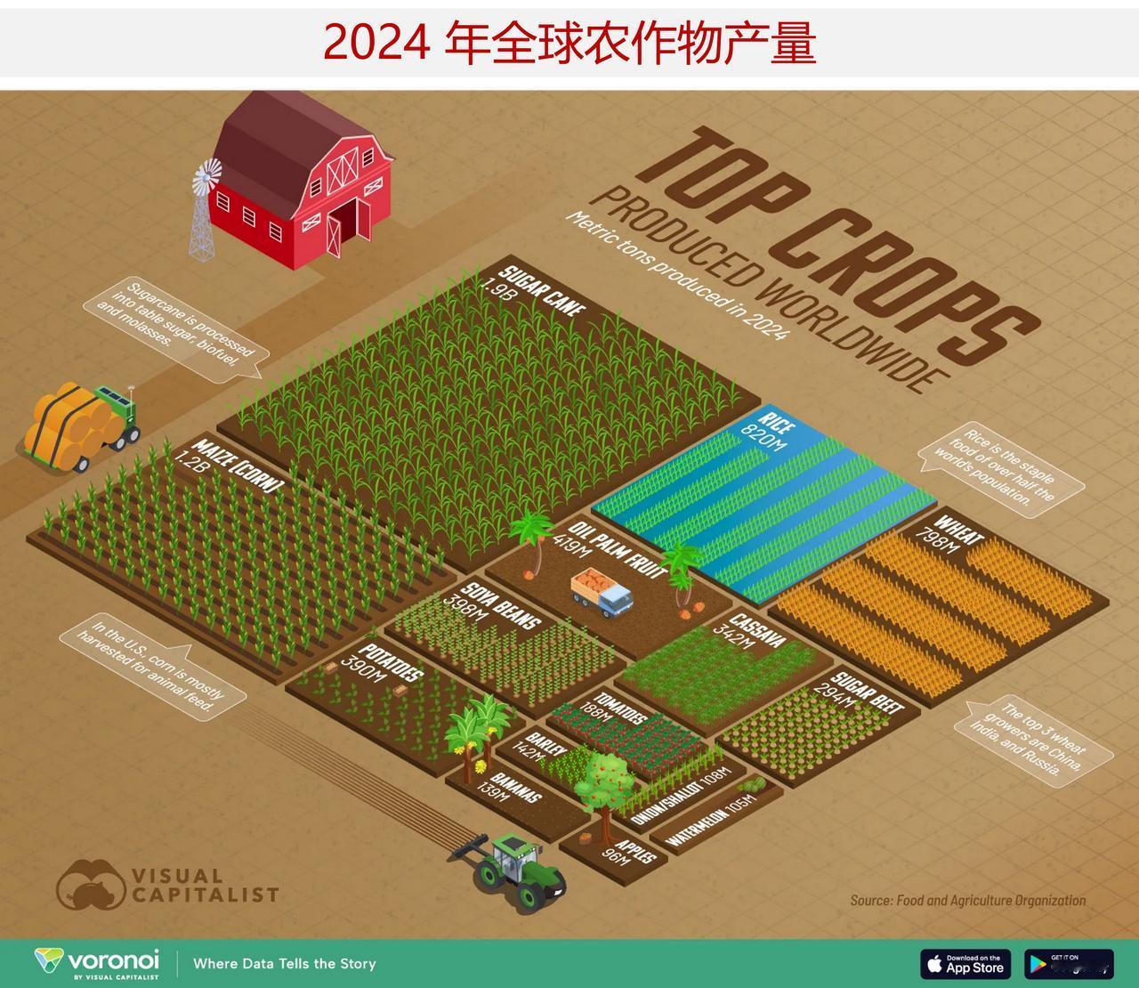 世界上产量最高的农作物是什么？

全球每年约收获 20 亿吨的甘蔗，这使其成为地