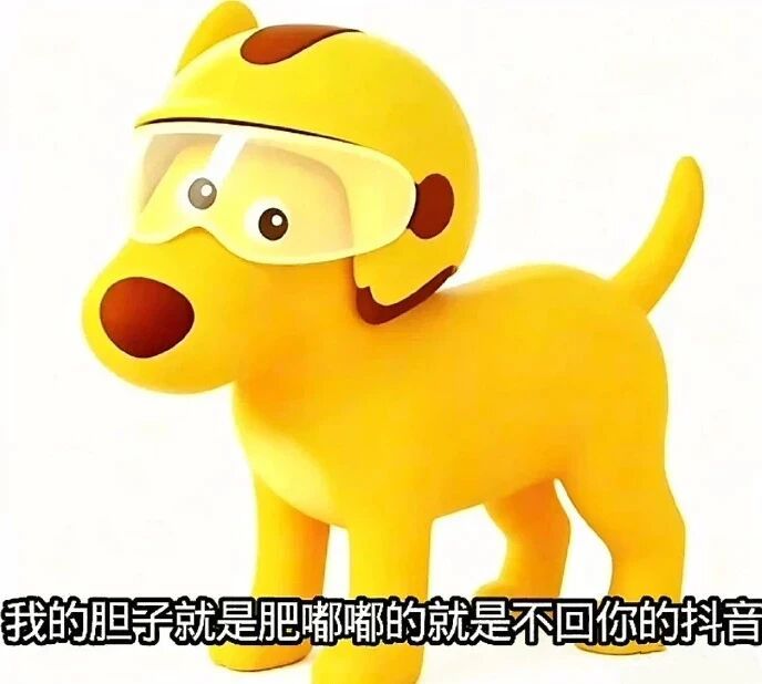表情包｜抽象表情包｜搞笑表情包| 你胆子真是肥嘟嘟的 