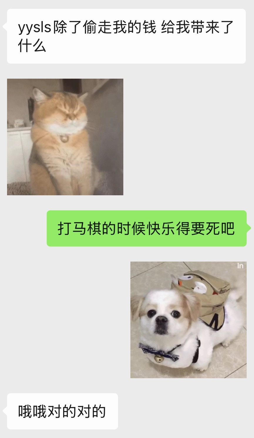给我笑麻了 