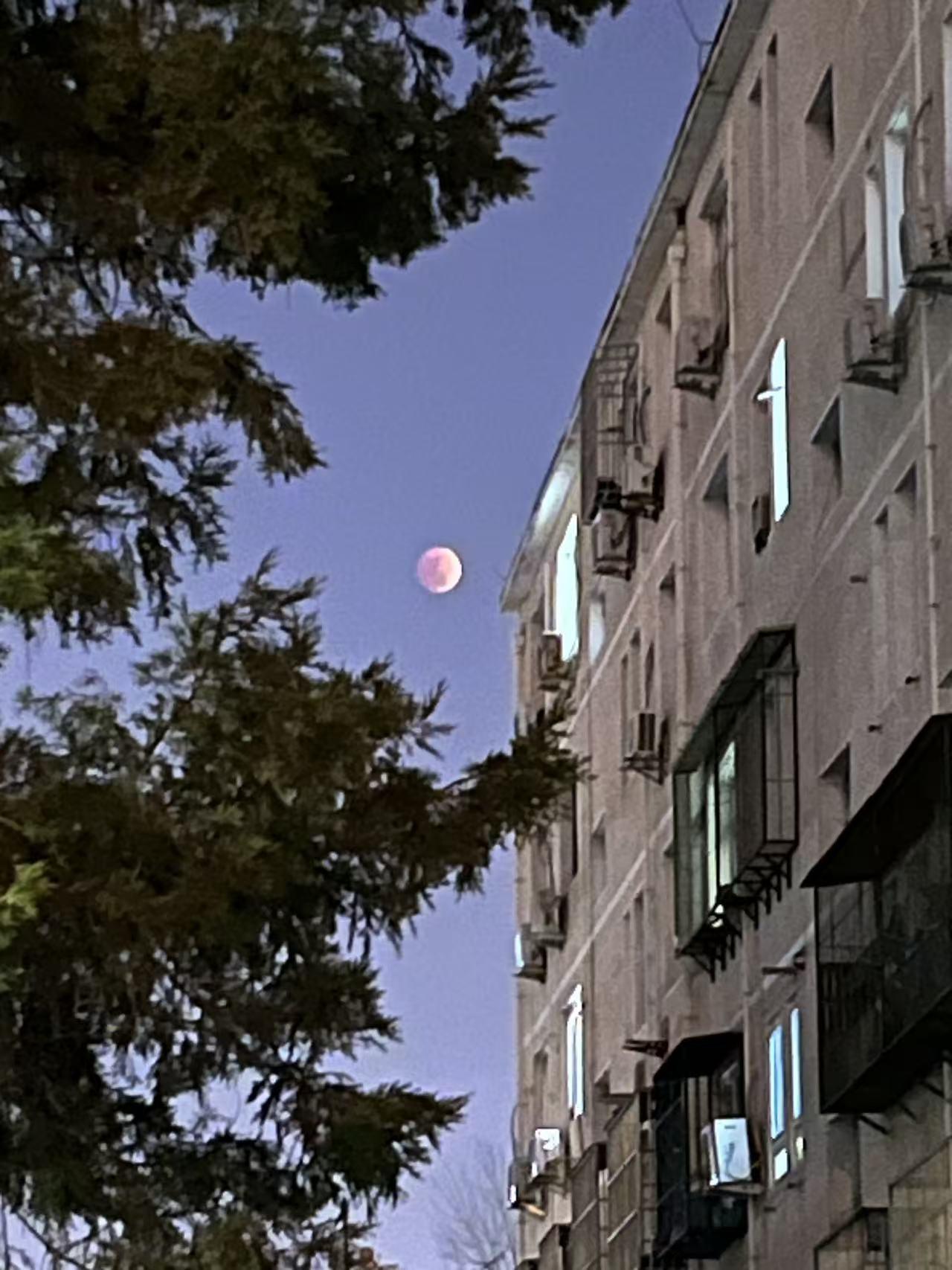 晒图笔记大赛正月十五的红月亮