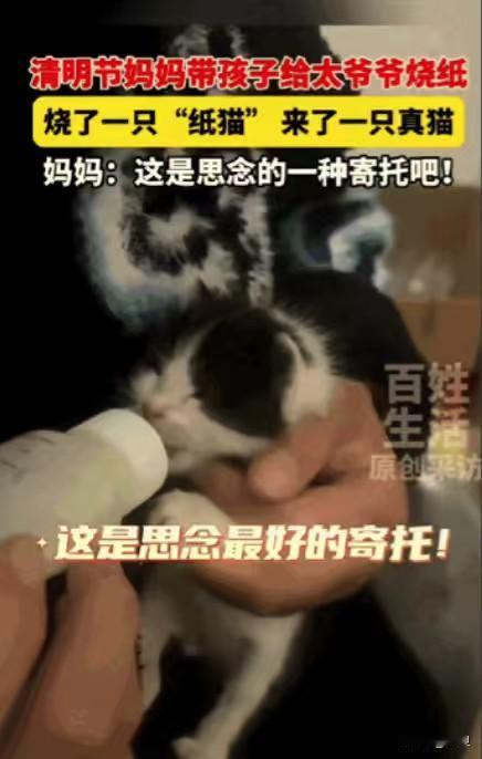 老话说，念念不忘，必有回响！可谁能想到，这回响不是在心里震，而是从阴阳两隔的桥那