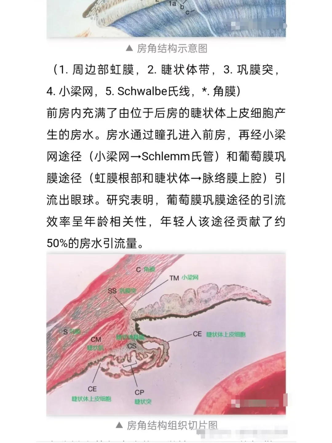 离焦+调节训练:两板斧控制近视的最新研究