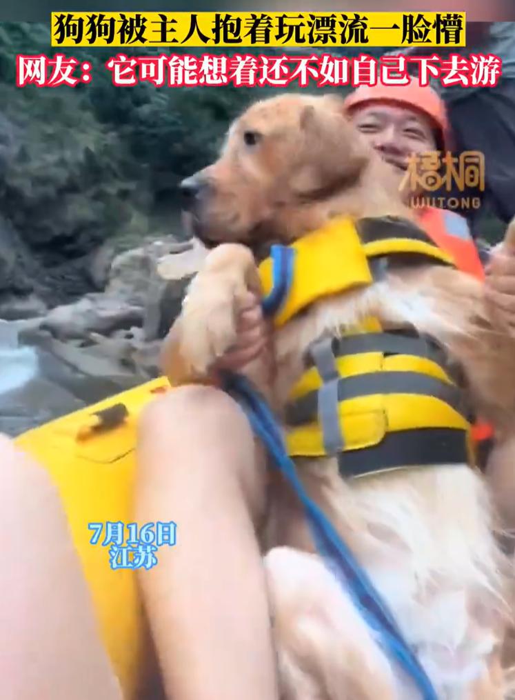 【，网友：它可能想着还不如自己下去游】7月16日，江苏。主人抱着狗狗坐船上玩漂流
