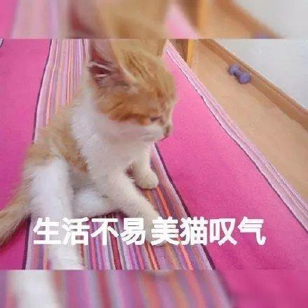 #中医话养生[超话]#总是“唉声叹气”，要当心！叹气，即叹息，中医称“善太息”，
