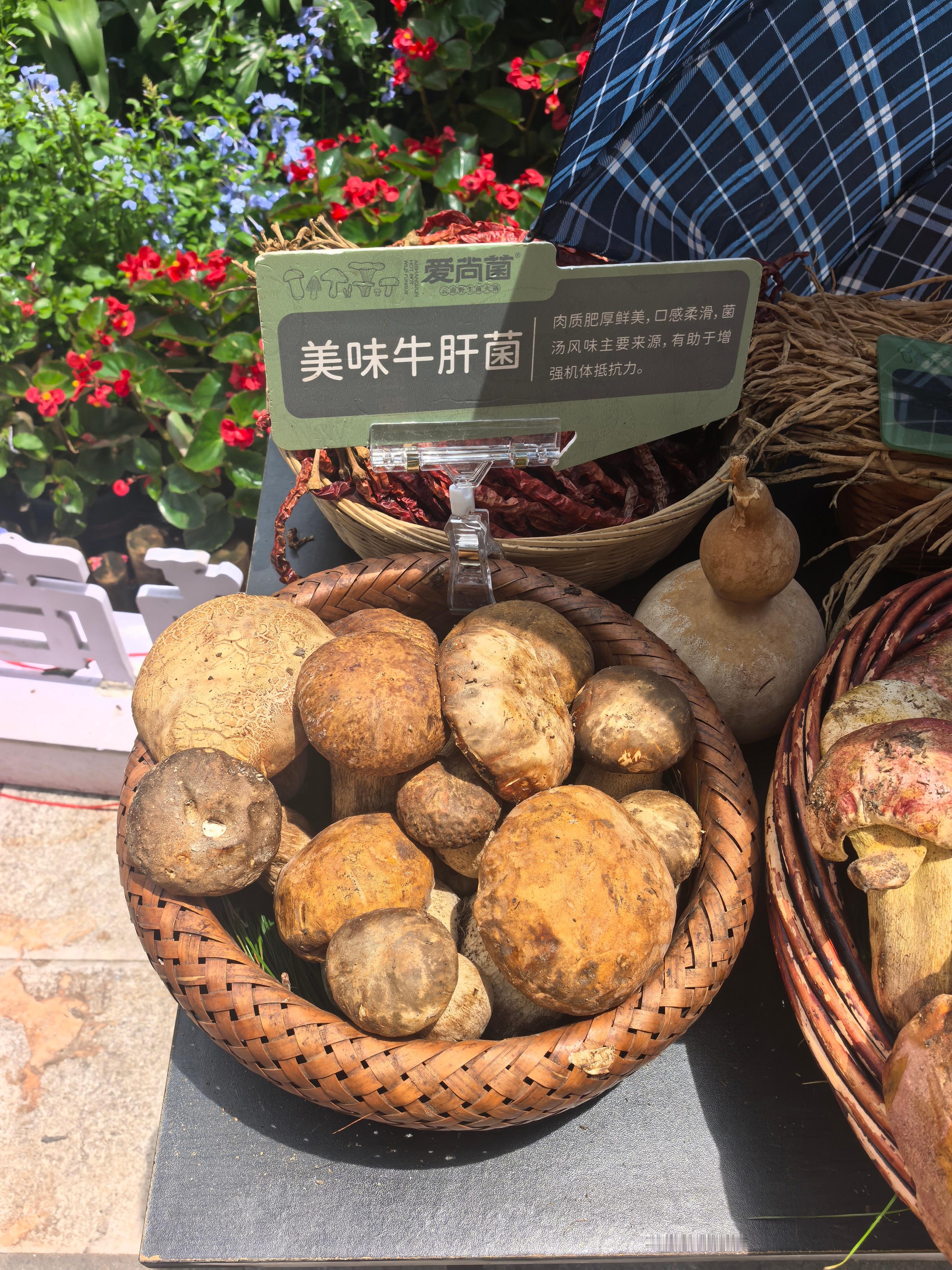 刘宇宁在云南是不是偷吃菌子了该说不说，云南的菌子确实好吃就是哥你太抽象了哈哈哈哈