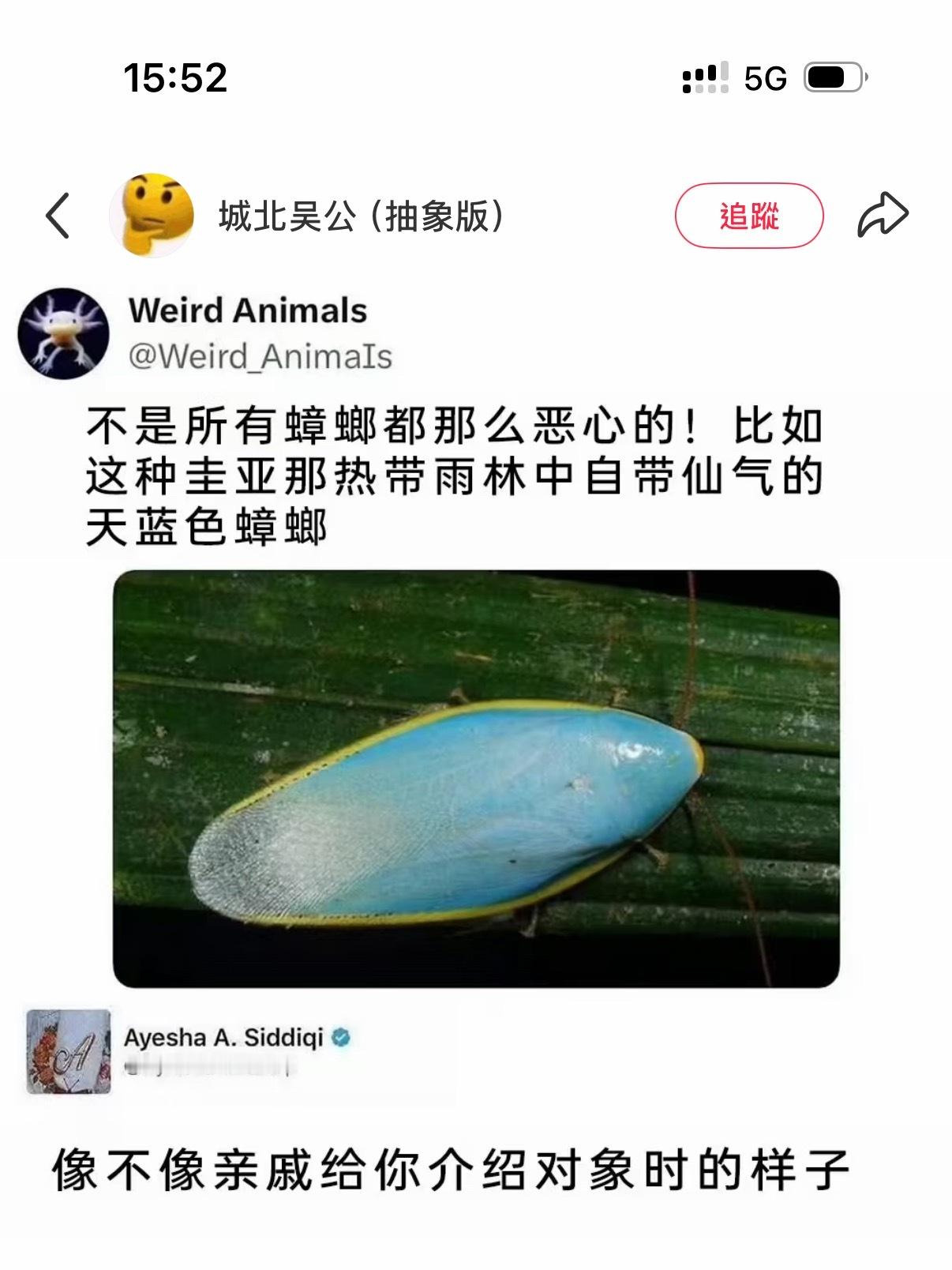 像不像亲戚给你介绍对象时的样子 ​​​