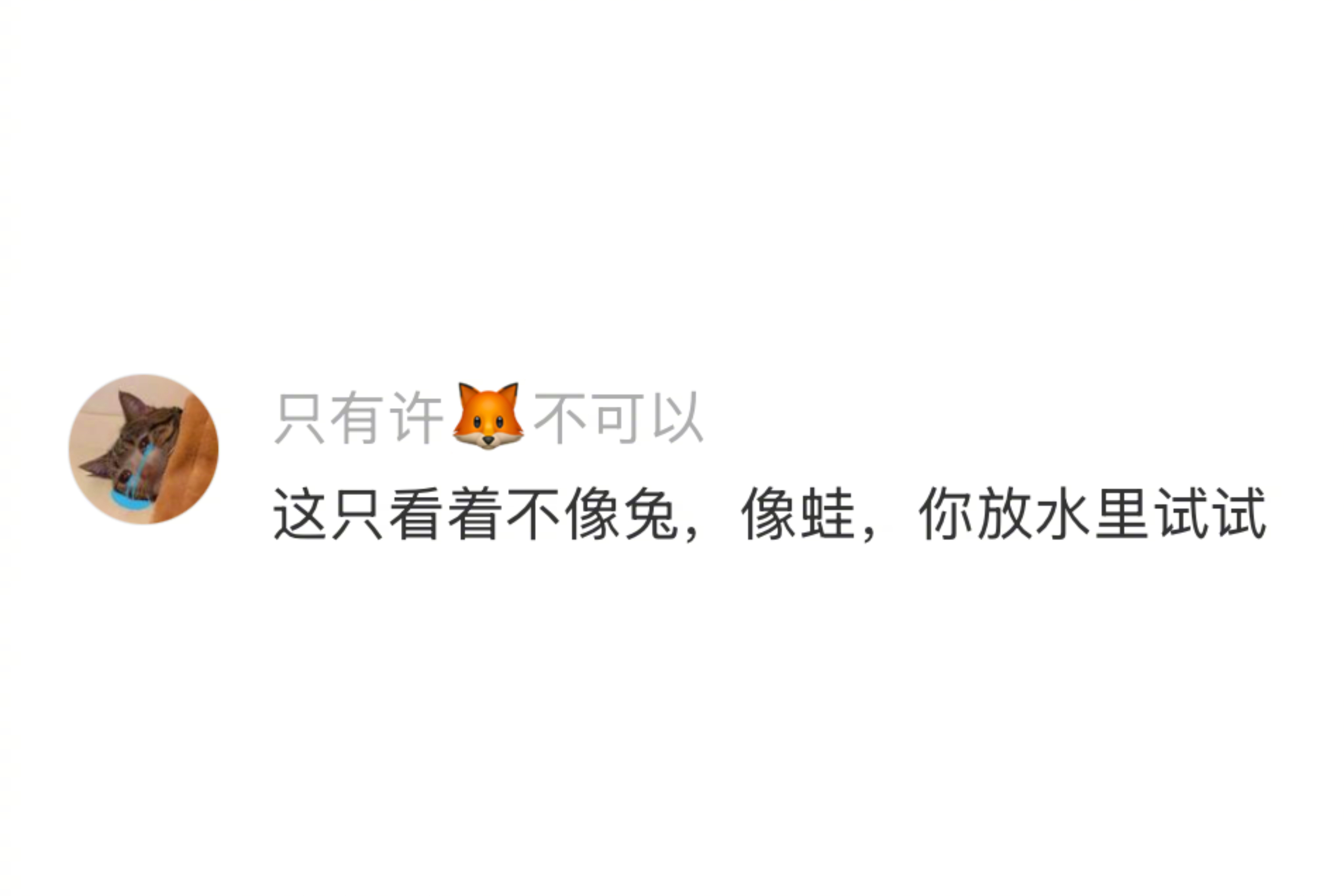 没有宠物就这样失心疯