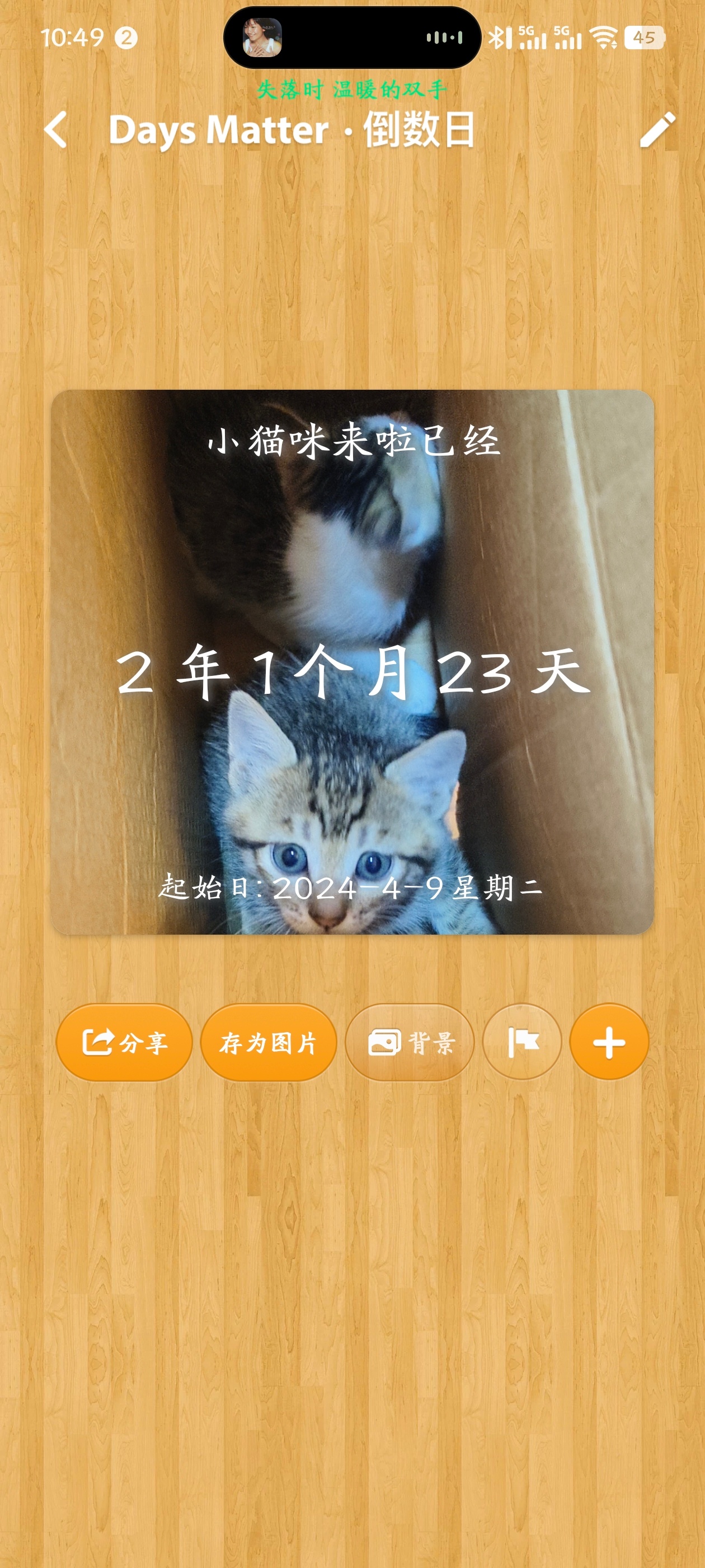 小猫什么也不懂，它只是察觉到我不对，脑袋乖乖的趴在我手上 