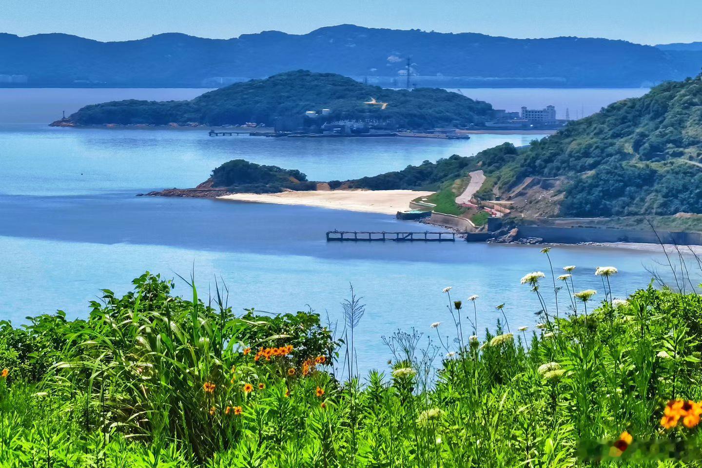 快拍普陀山野有花，眼前是海✨偷得浮生半日闲，沉醉在浙东山海间赴一场普陀的约 舟山