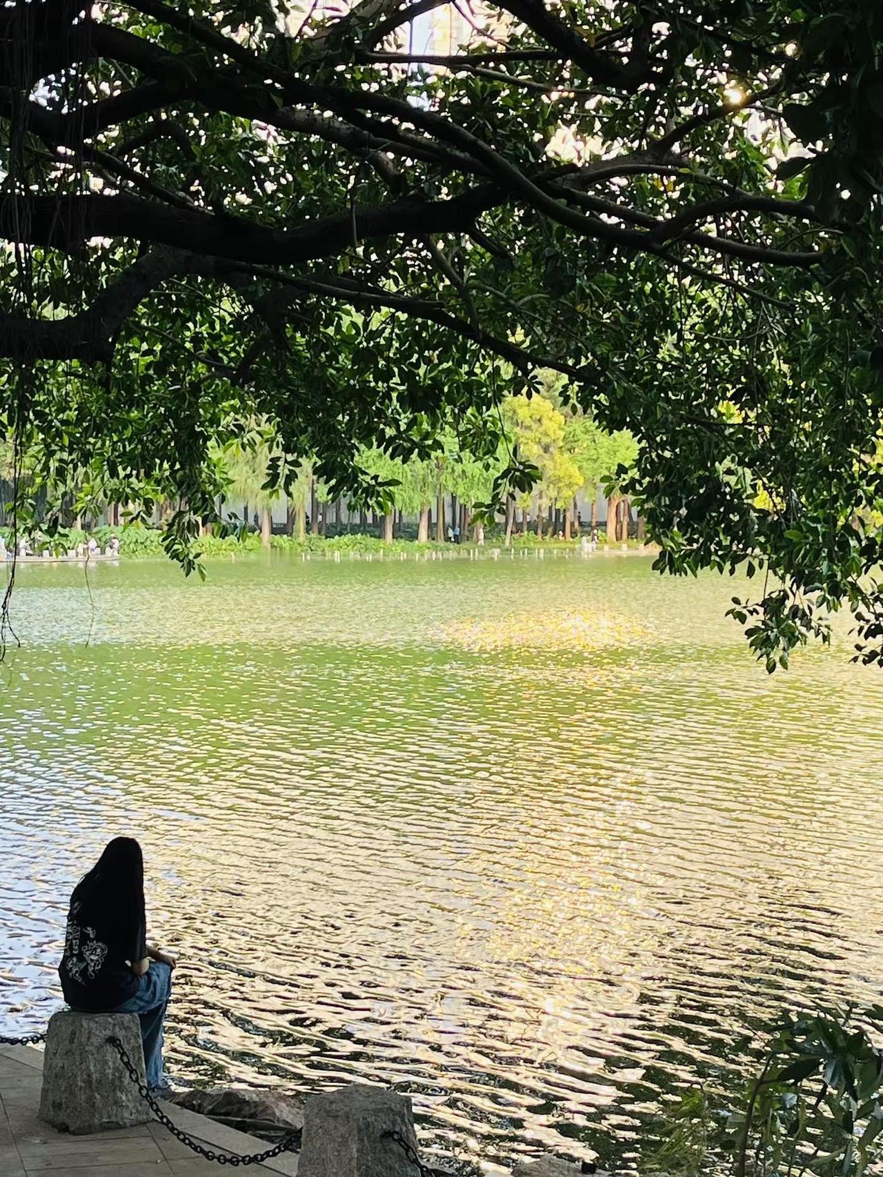 逛公园才是正经事🌳 傍晚的洪湖公园～享受大自然 逛公园才是正经事 深圳公园 洪