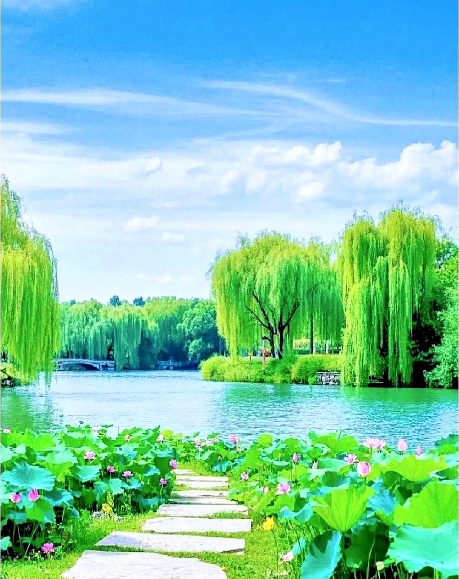 手术灯熄灭时，产房门口松了一圈人，谁想到躺在里面的，是被一把刀劈开七层组织的母亲