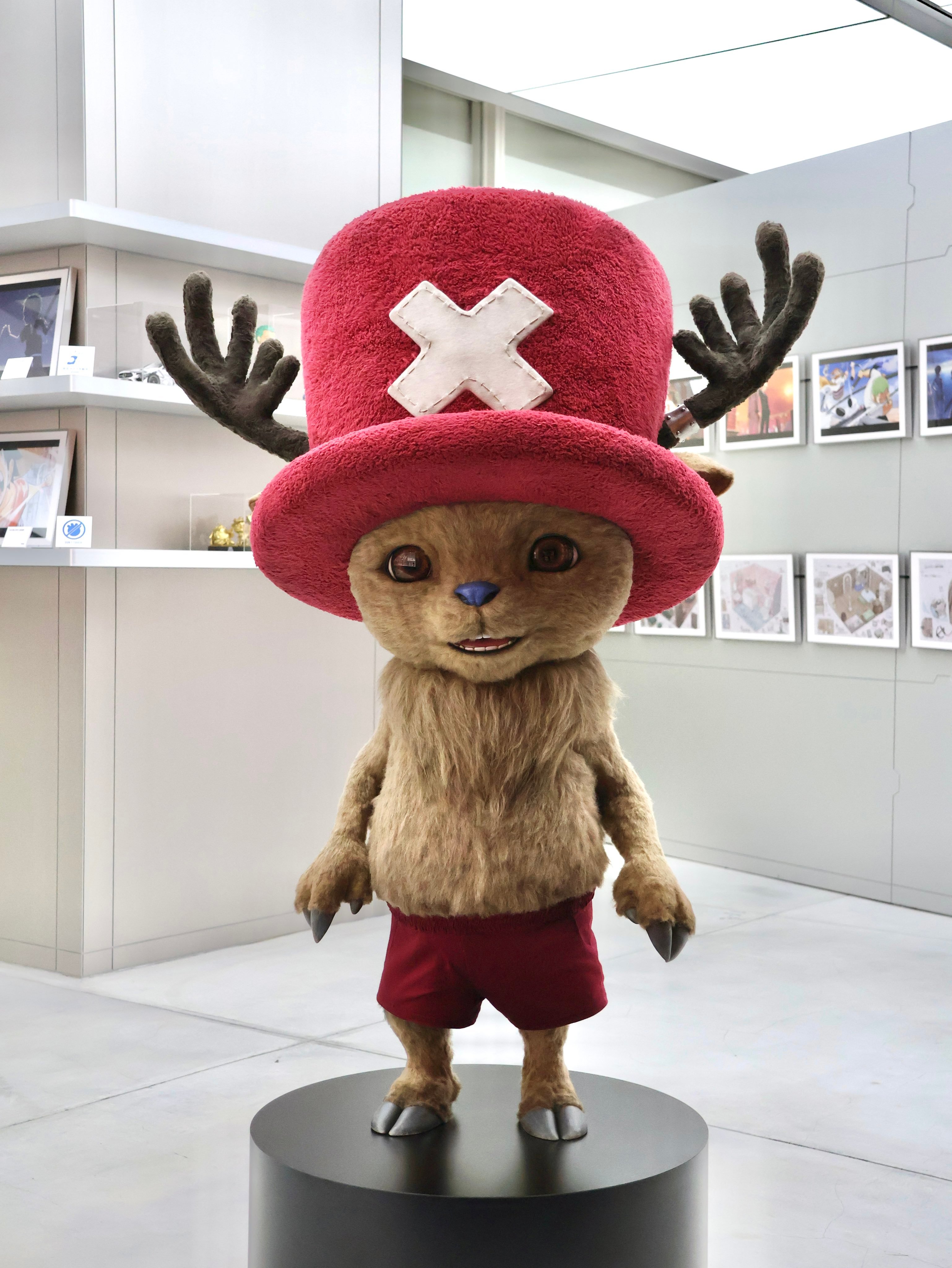 自今天2026年4月25日起，海贼王官方旗舰店ONE PIECE BASE SH