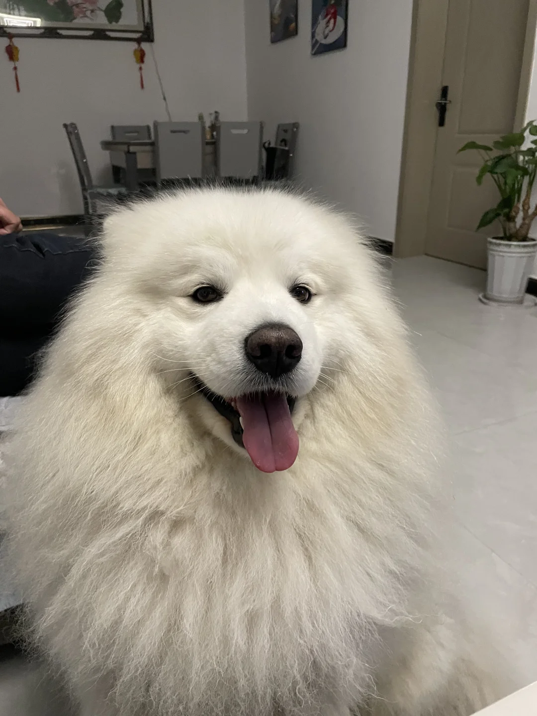嘻嘻耶Vs不嘻耶
