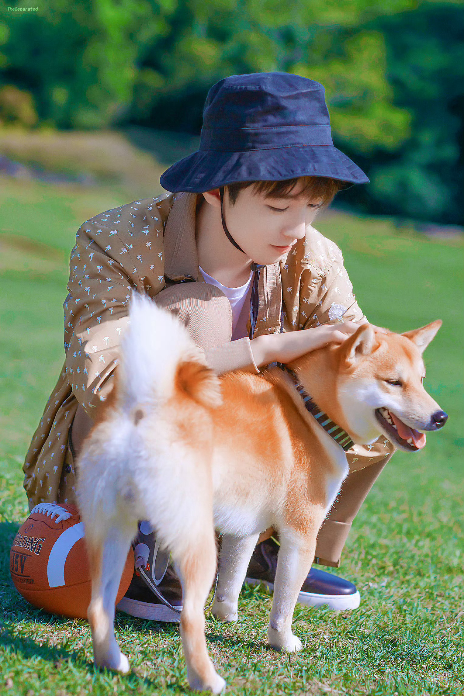 三月，意味着温柔又明亮，充满希望的春天要来啦，一切都重现生机，蓬勃的三月！🌸?