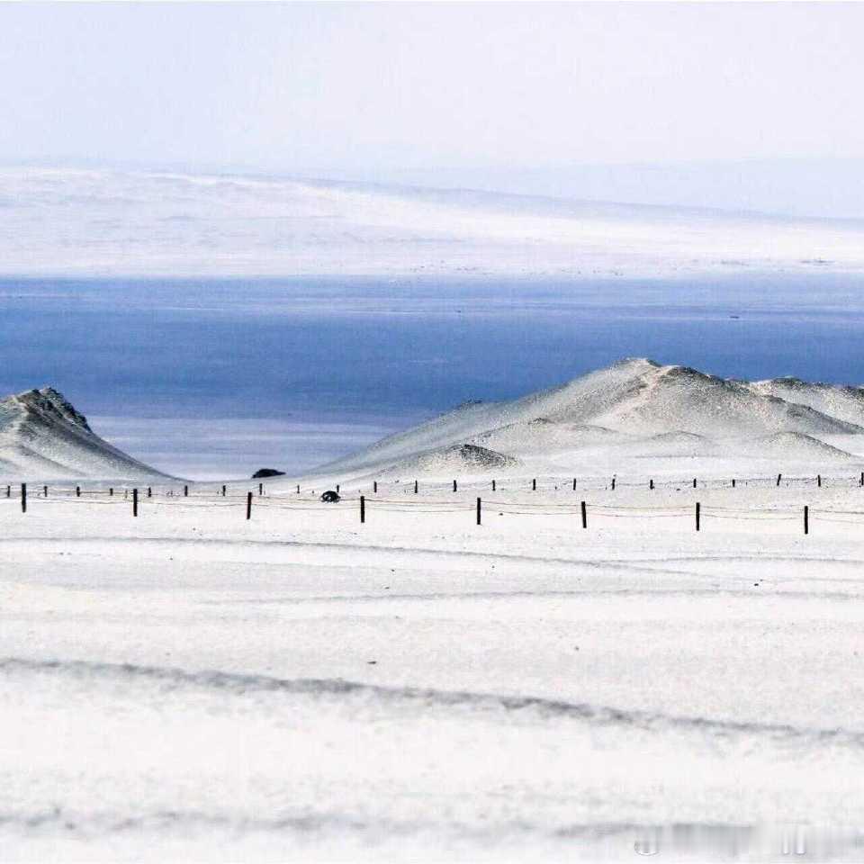 每日一善  阳光信用 在这纷扰尘世中，修得一颗清净心。以平和接纳无常，以慈悲对待