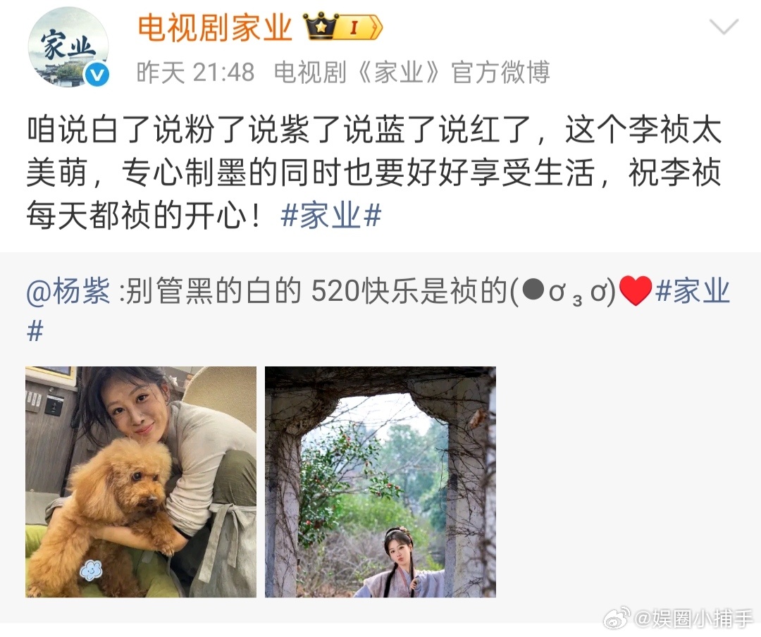 家业官微是抽象孩子运营的日常发言鲜活又大胆，不走常规路线的官微，越看越觉得有意思