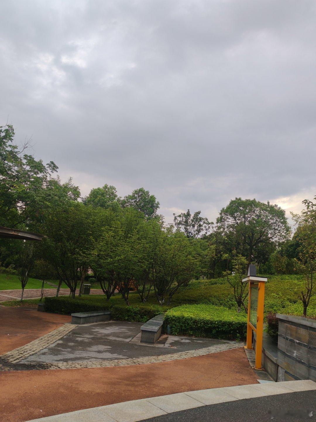 今天阴天，公园里打两遍八段锦，感觉非常好一早可以听到公园鸟叫，看到满眼绿色，感受