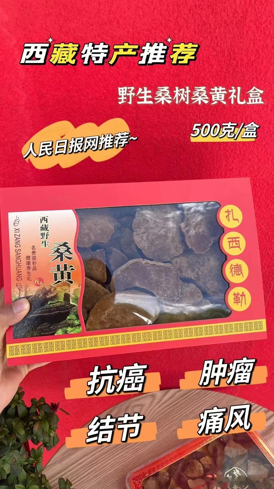 一斤桑树桑黄，每天用10克左右，大概可以连续喝上两个月，防癌抗癌，去肺结节，护肝